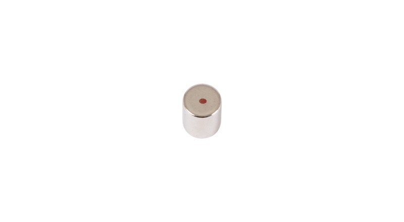 Magnete in Neodimio L=10