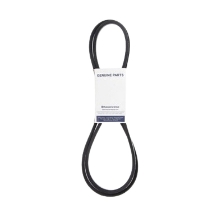 Trasmissione a cinghia 5985228-01