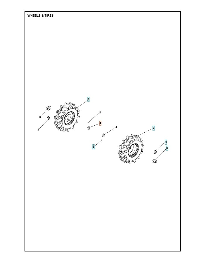 Cespuglio 5986761-01