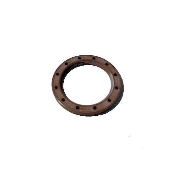 Guarnizione radiale 24,5 x 32,95 x 3,1 inserto in PTFE