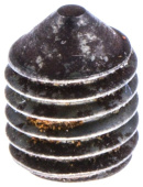 Vite S6Ss 8X10 Vite S6Ss 8X10