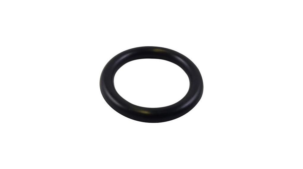 O-Ring 7404217-00