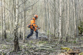 Husqvarna 545FXT AutoTune Decespugliatore Husqvarna 545FXT AutoTune Decespugliatore