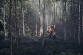 Husqvarna 545FXT AutoTune Decespugliatore Husqvarna 545FXT AutoTune Decespugliatore