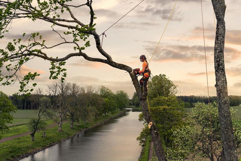 Husqvarna T540 XP® Mark III Motosegha