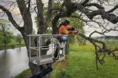 Husqvarna 540 XP® Mark III Motosegha 3/8 Husqvarna 540 XP® Mark III Motosegha 3/8