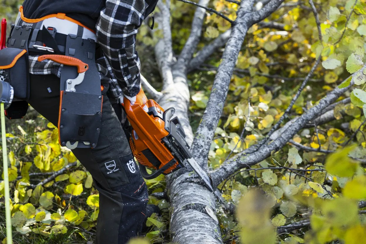 Husqvarna 445S Motosegha