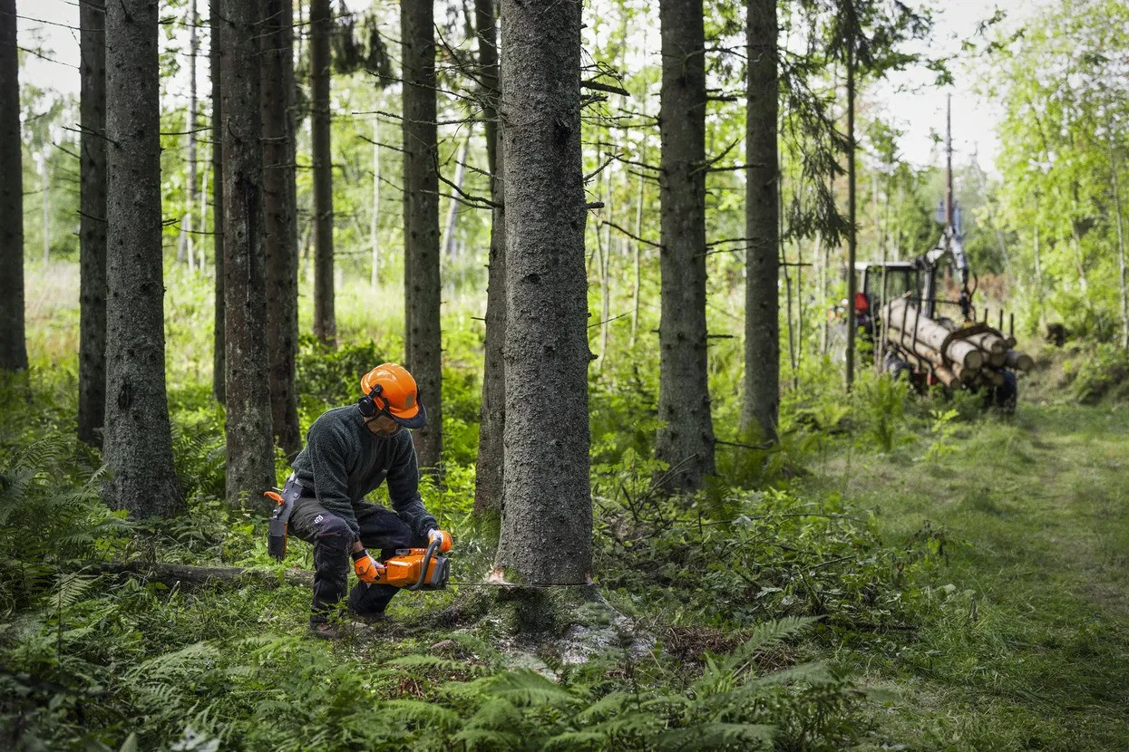 Husqvarna 450X Motosega
